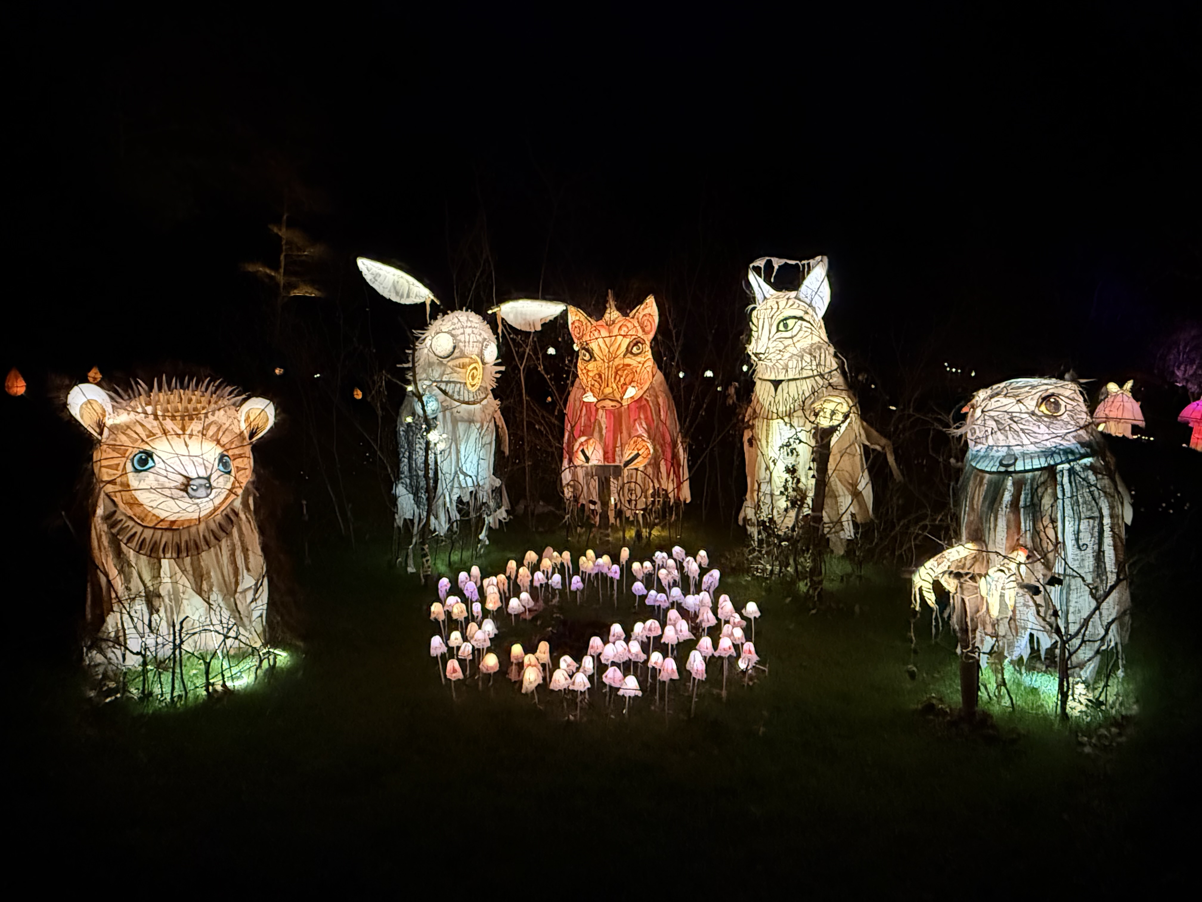 Glow Wild Animals At Wakehurst.