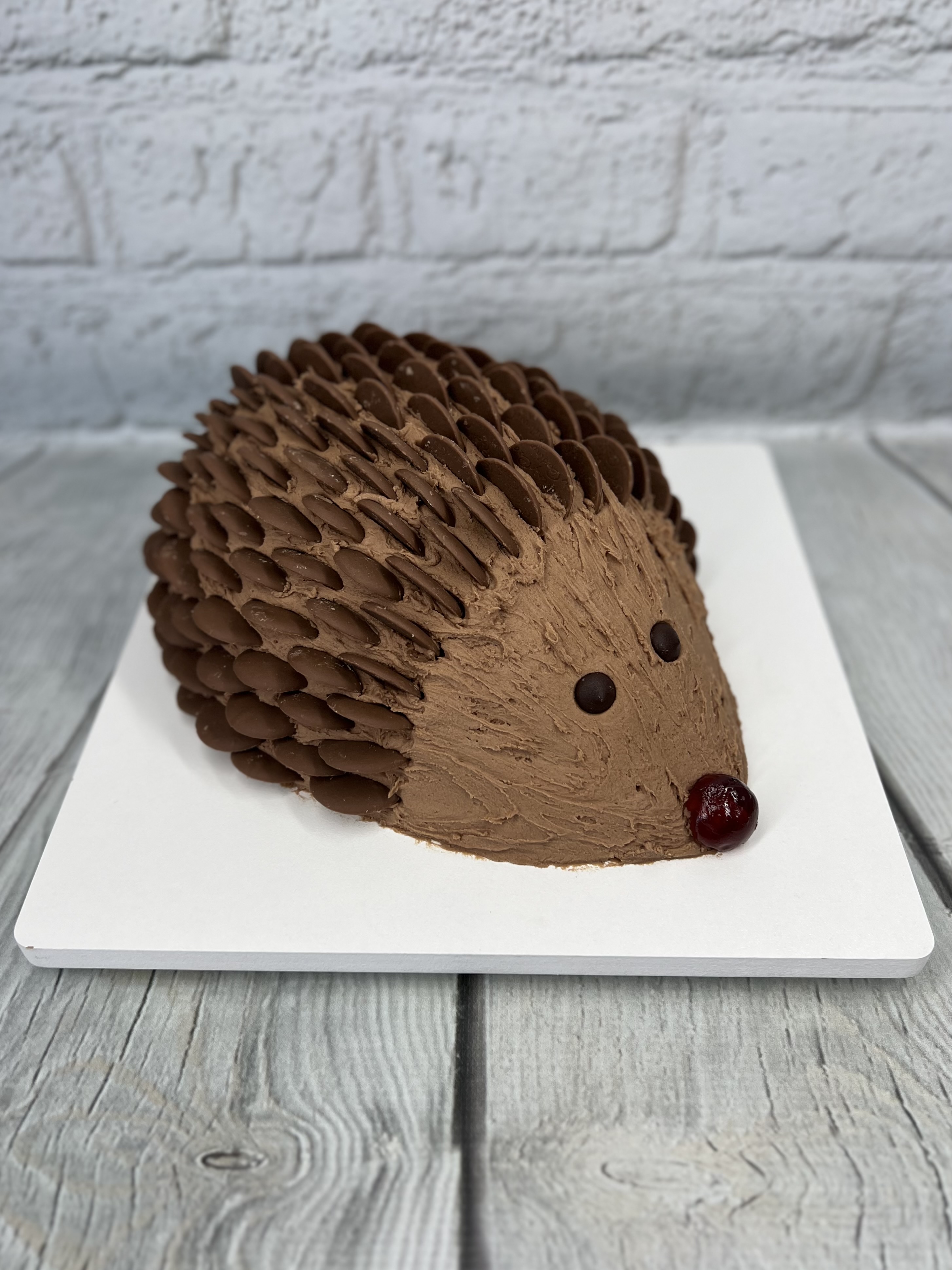 Chocolate Hedgehog Cake